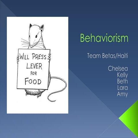 Team project- learning theories