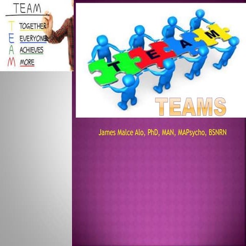 Teams  Success in Team Working