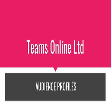 Teams online ltd audience profile ceo