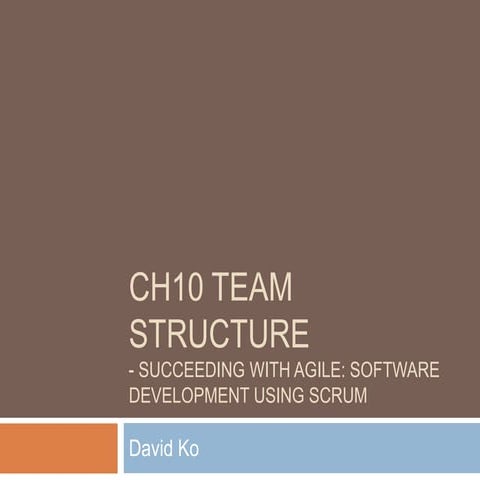 Team structure