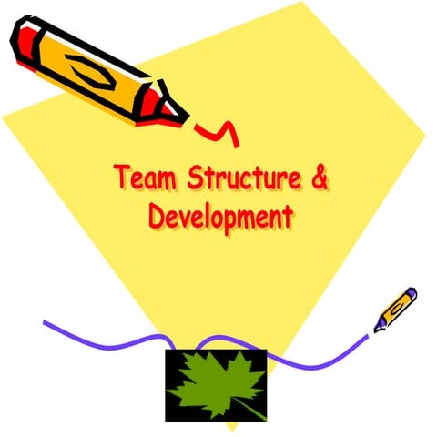 Team structure & development