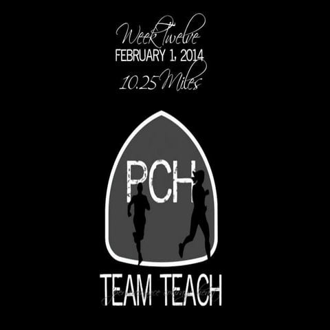 Team TEACH Week Twelve Snapshots