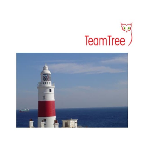 Team Tree Capability Statement 2011 12