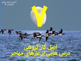 درس‌هایی از غازهای مهاجر؛ ۷ اصل کار گروهی