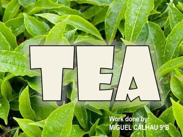 Tea presentation