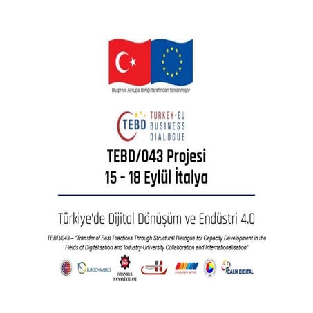 TEBD-TurkiyeDijitalDonusumveEndustri4.0.pdf