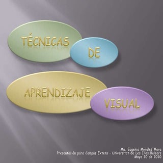 Aprendizaje Visual y Organizadores ...