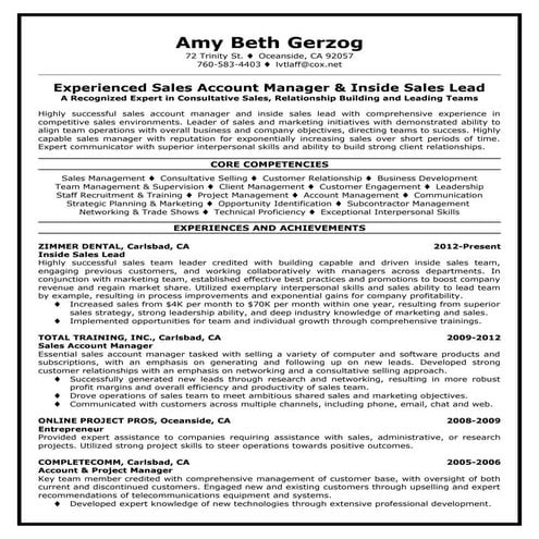 Tech-Savvy sales professional