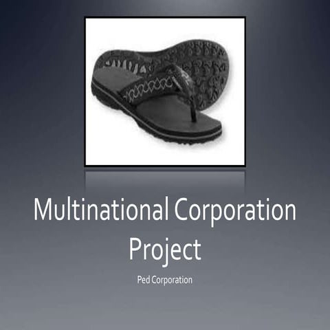 TE Multinational Corporation Project