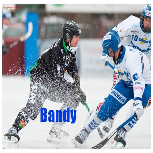 Bandy Presentation