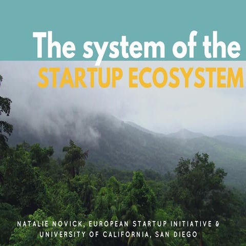 Anatomy of a Startup Ecosystem | PDF
