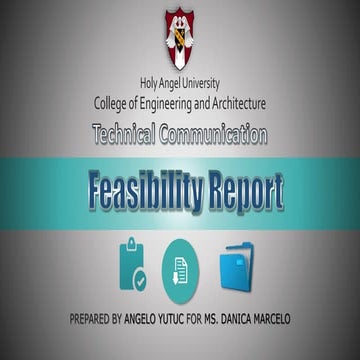 Feasibility Report