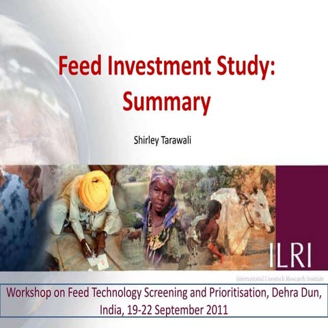 Feed Investment Study: Summary