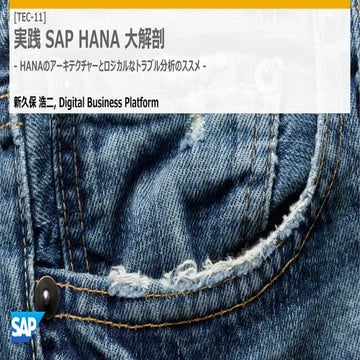 Tech JAM 2016 TEC 11 実践 SAP HANA 大解剖