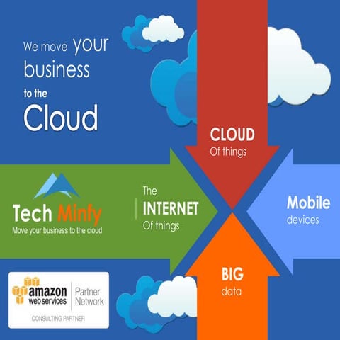 TechMinfy Services_Offerings