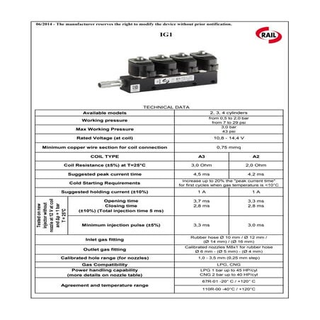 LPG-injectors RAIL IG1 | PDF