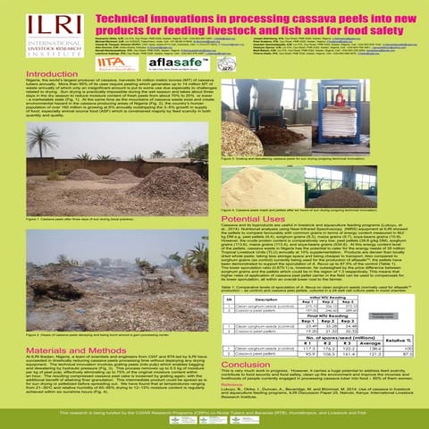 Technical innovations in processing cassava peels into new products for feedi...