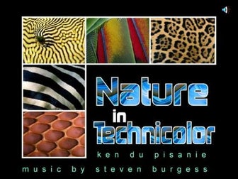 Nature in Technicolor