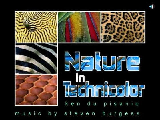 Nature in Technicolor