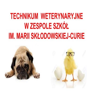 Technikum weterynaryjne | PPT