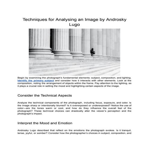 Techniques for Analysing an Image by Androsky Lugo.pdf