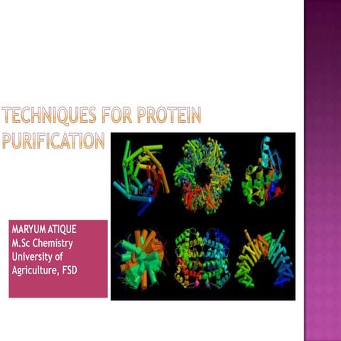 Techniques for protein purification