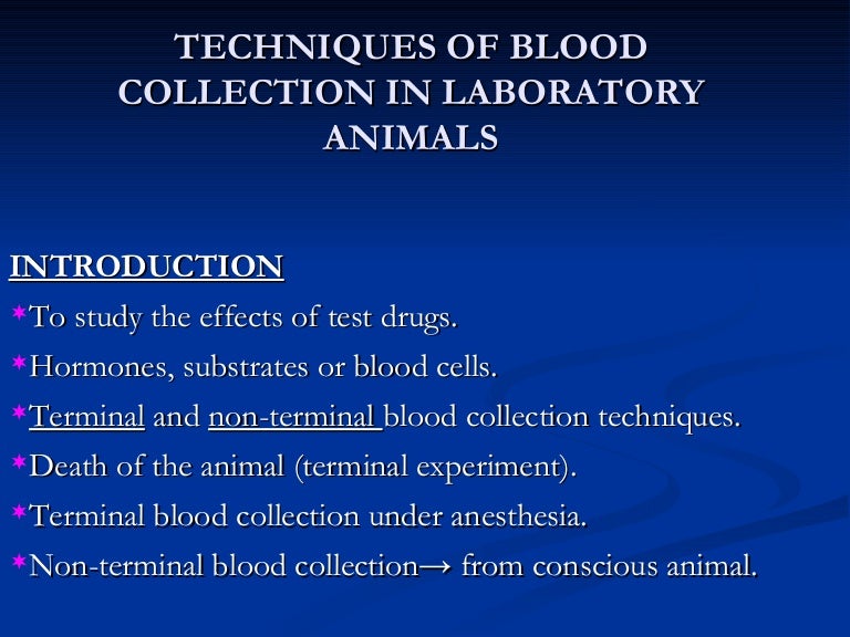 Techniques of blood collection in laboratory animals