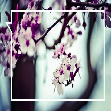 Techniques of decision making process