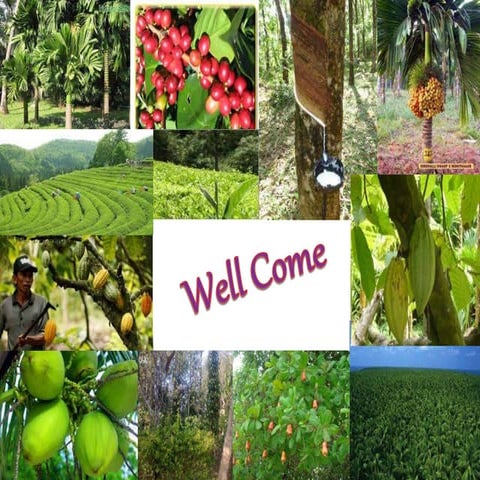 Technological gap in plantation crop production technologies