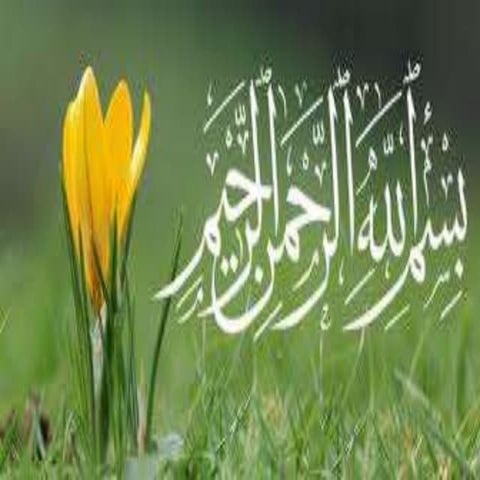 Technologies and englishes