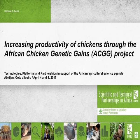 Increasing productivity of chickens through the African Chicken Genetic Gains...