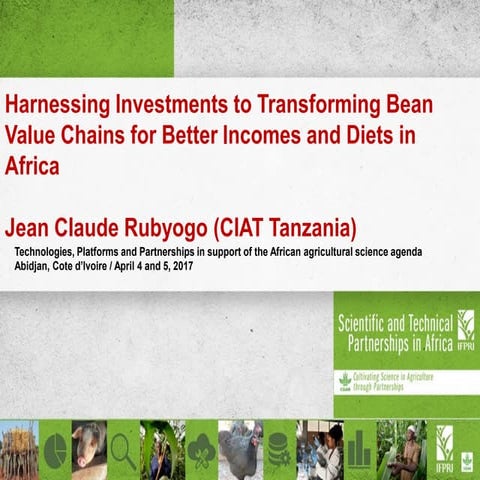 Harnessing Investments to Transforming Bean Value Chains for Better Incomes a...