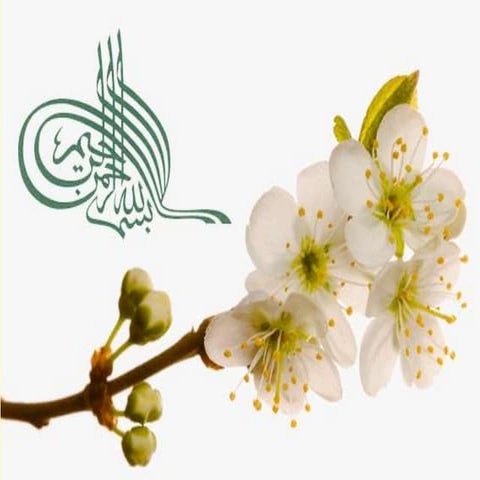 The world of Technology Management MEM 814.pptx