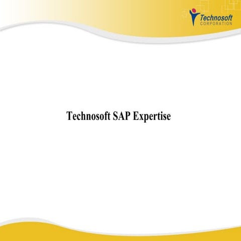 Technosoft SAP Expertise