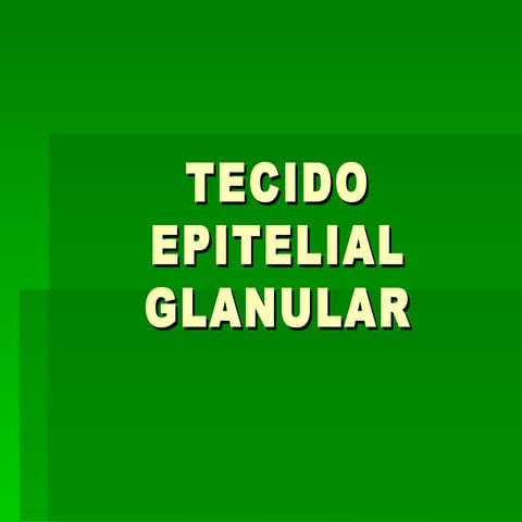 Tecido epitelial glanular | PPT