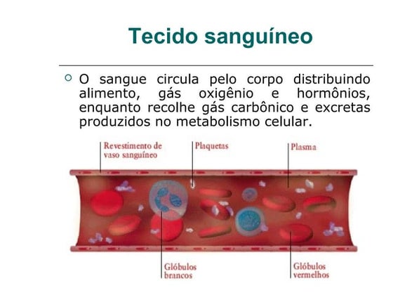 O Plasma e os Elementos figurados do sangue.pptx