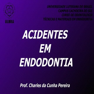 Tec mat endo   aula acidentes(blog)