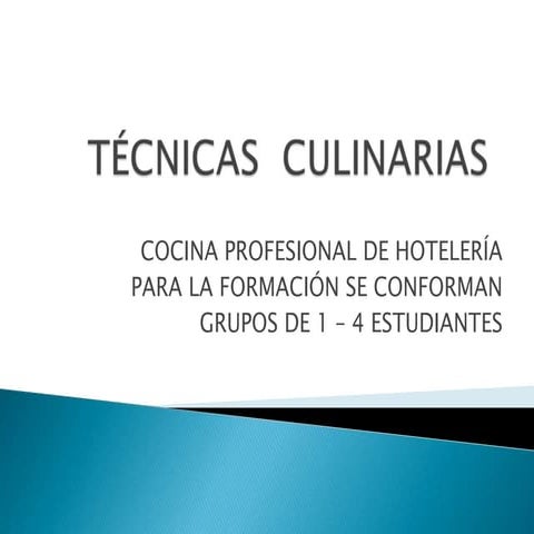 Manual de cocina profesional | PDF