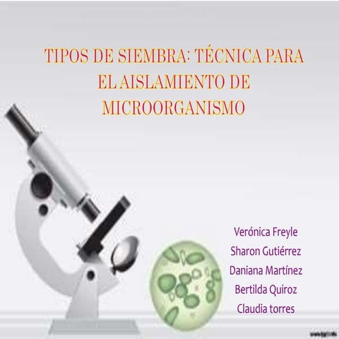 Laboratorio Tecnicas de siembra