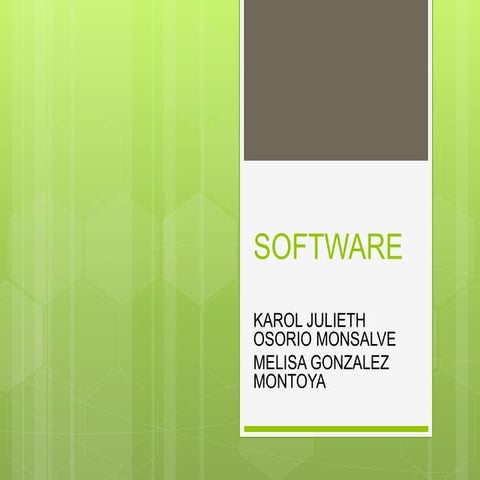 SOFTWARE