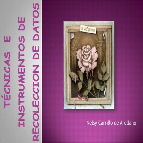 Técnicas e Instrumentos de Recolección de Datos