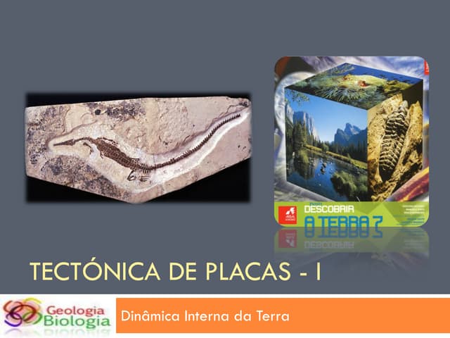 TectóNica De Placas   I