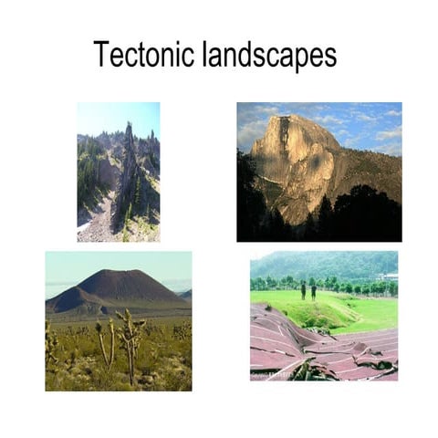 Impact of Tectonics on Landscapes