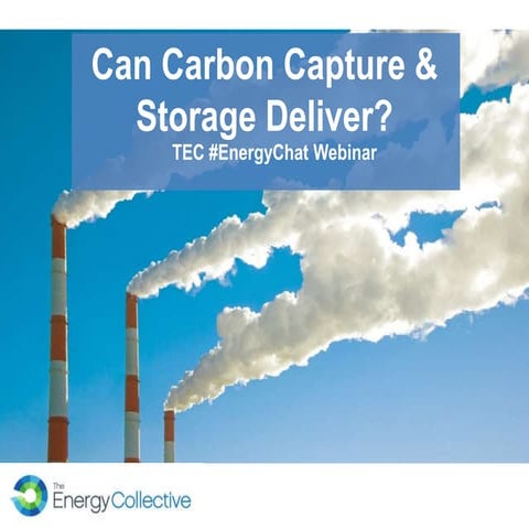 Carbon Capture and Storage (CCS) | PDF