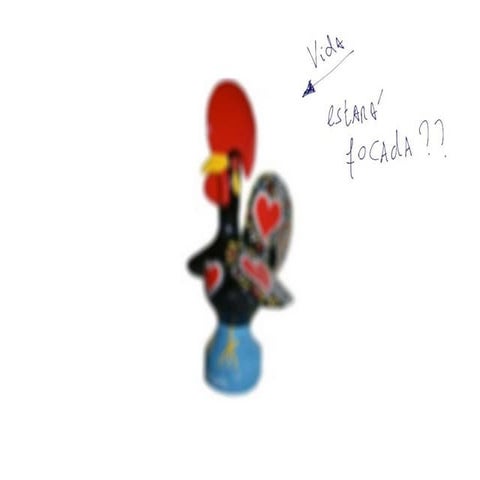 Tedx Barcelos Movimento Manifesto