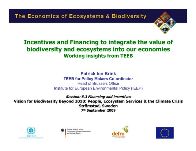TEEB Incentive Measures by Patrick ten Brink of IEEP Stromstadt 7 September Final