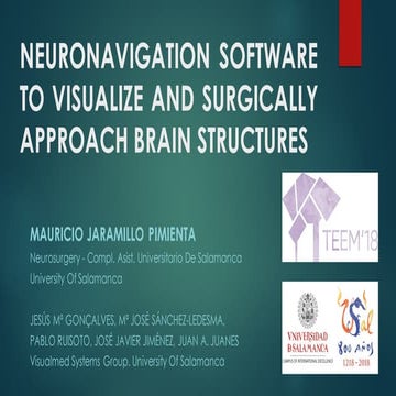 Neuronavigation Software to visualize and surgically approach brain structures