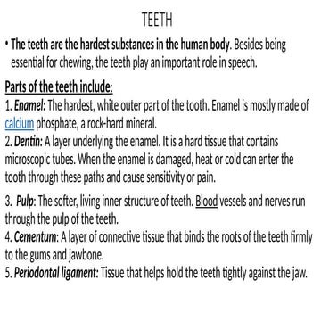 teeth description and type and names how to care