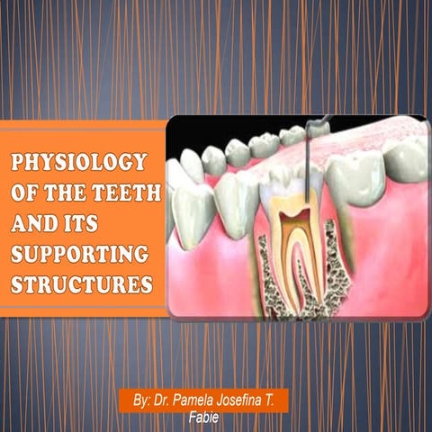 Physiology of Teeth and Its Supporting Structures