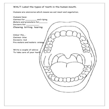 Teeth labelling | DOC